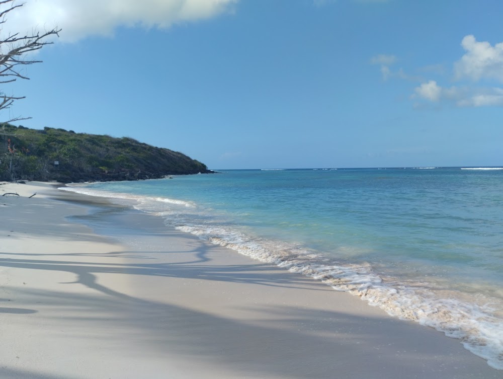 Playa Flamenco