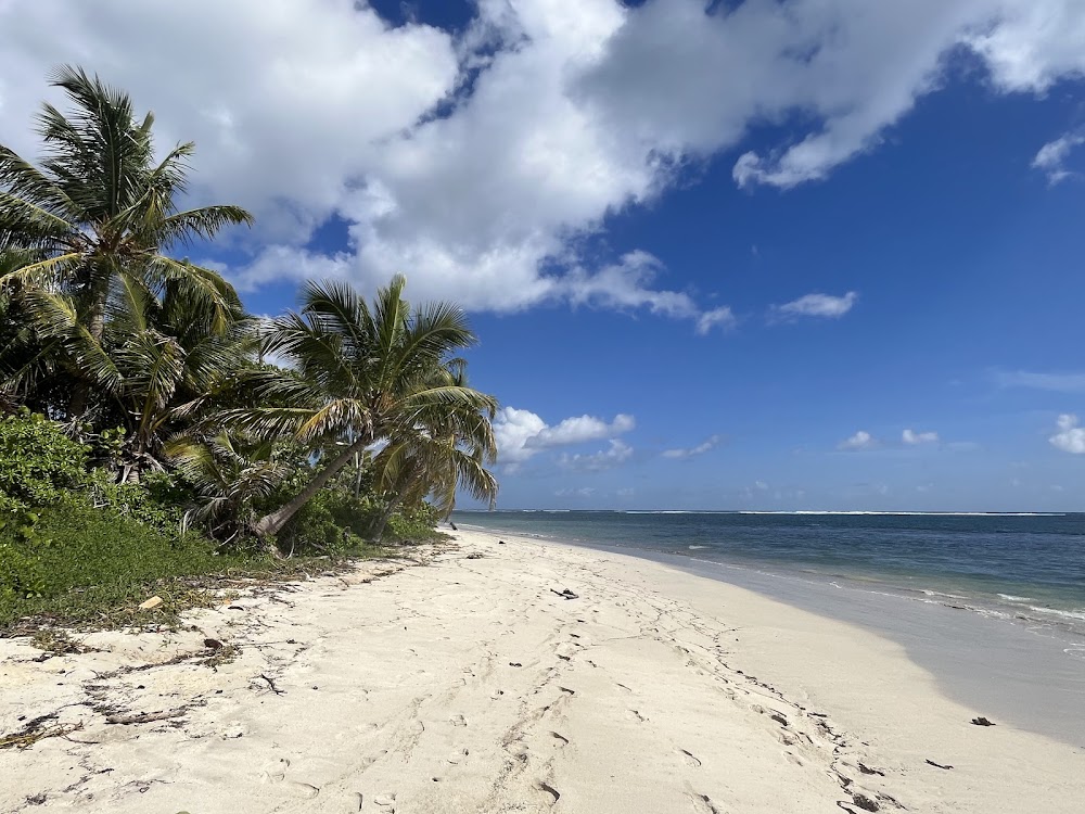Playa Flamenco