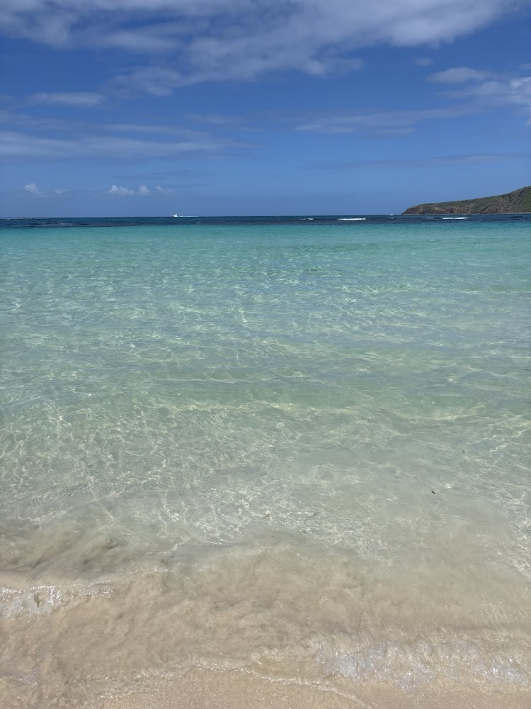 Playa Flamenco