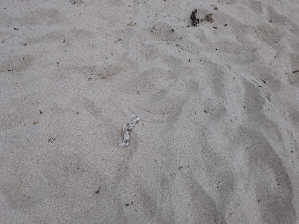Playa de San Cosme de Barreiros