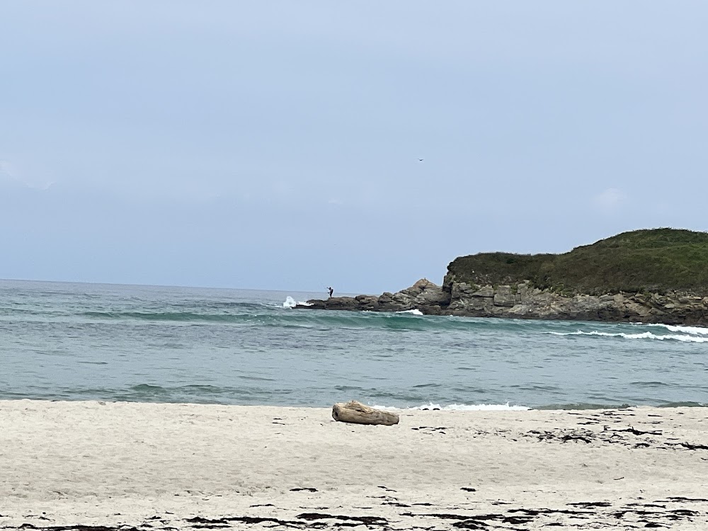 Playa de San Cosme de Barreiros