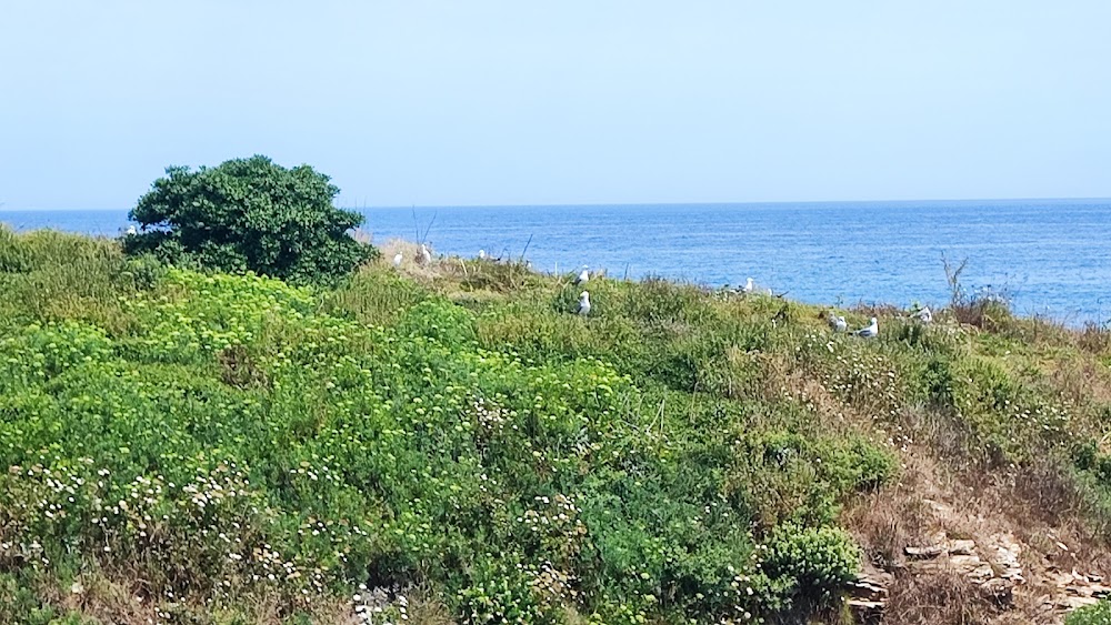 Praia Da Rapadoira