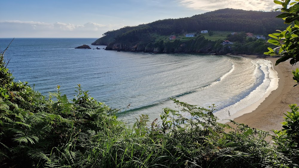 Praia de Xilloi