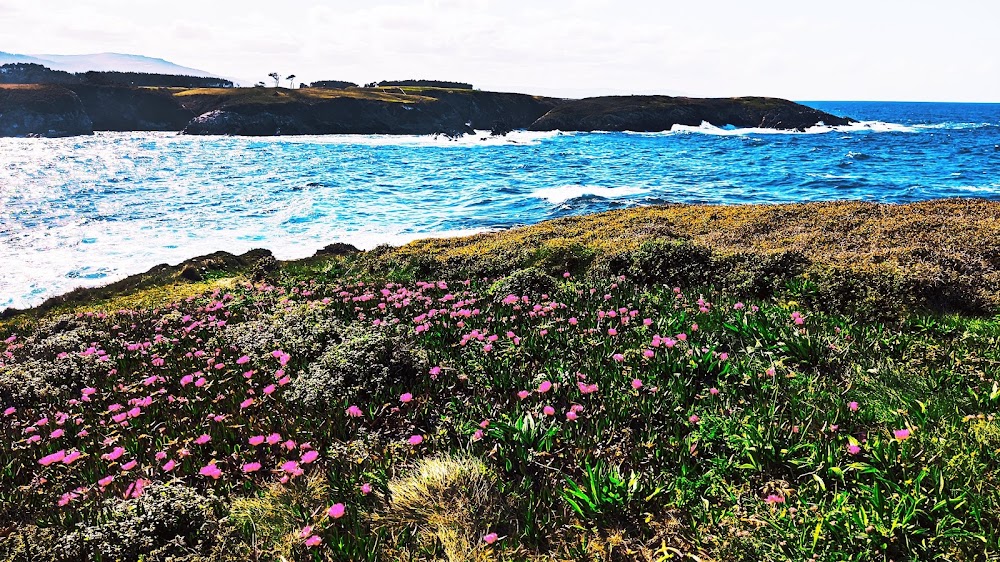 Praia de Rocas Brancas