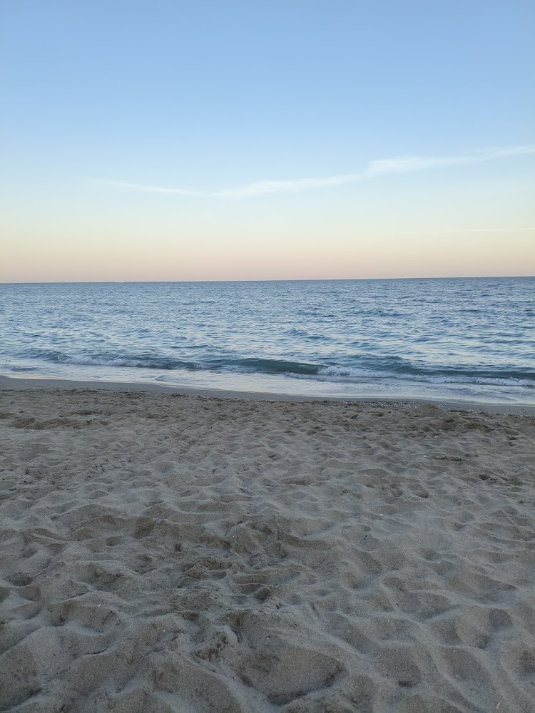 Playa de Torreblanca