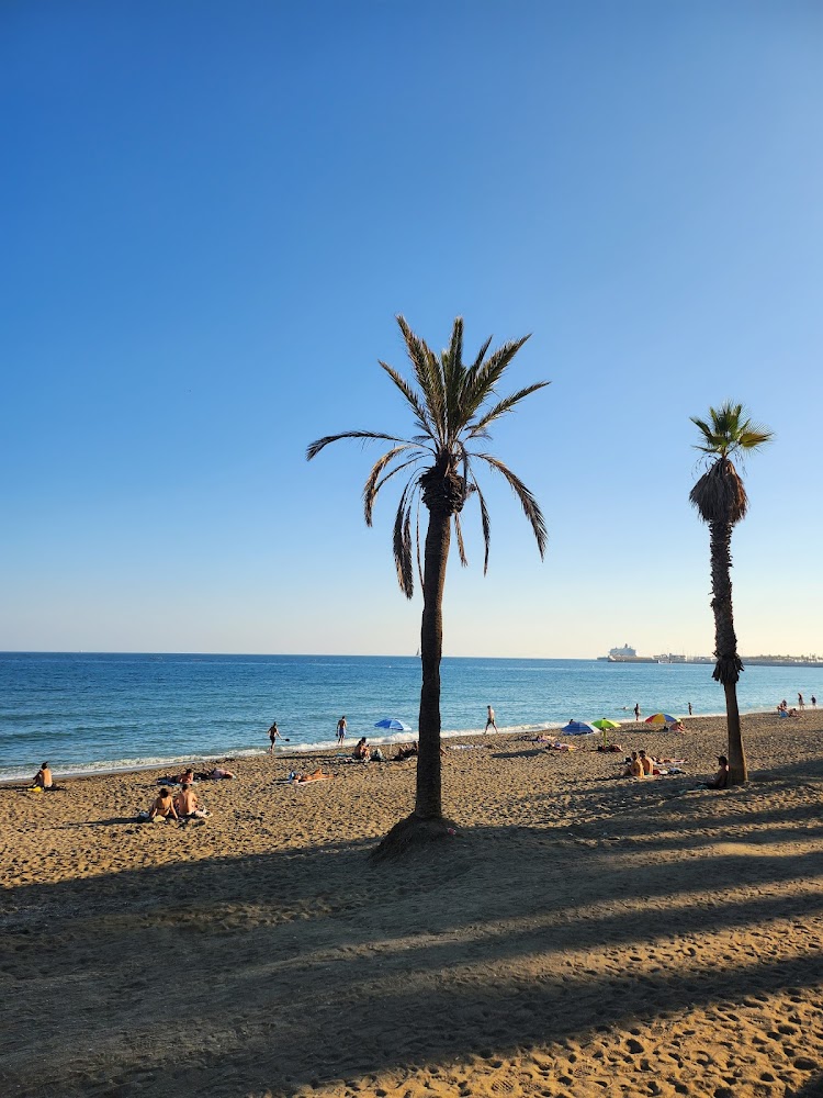 Playa de la Malagueta