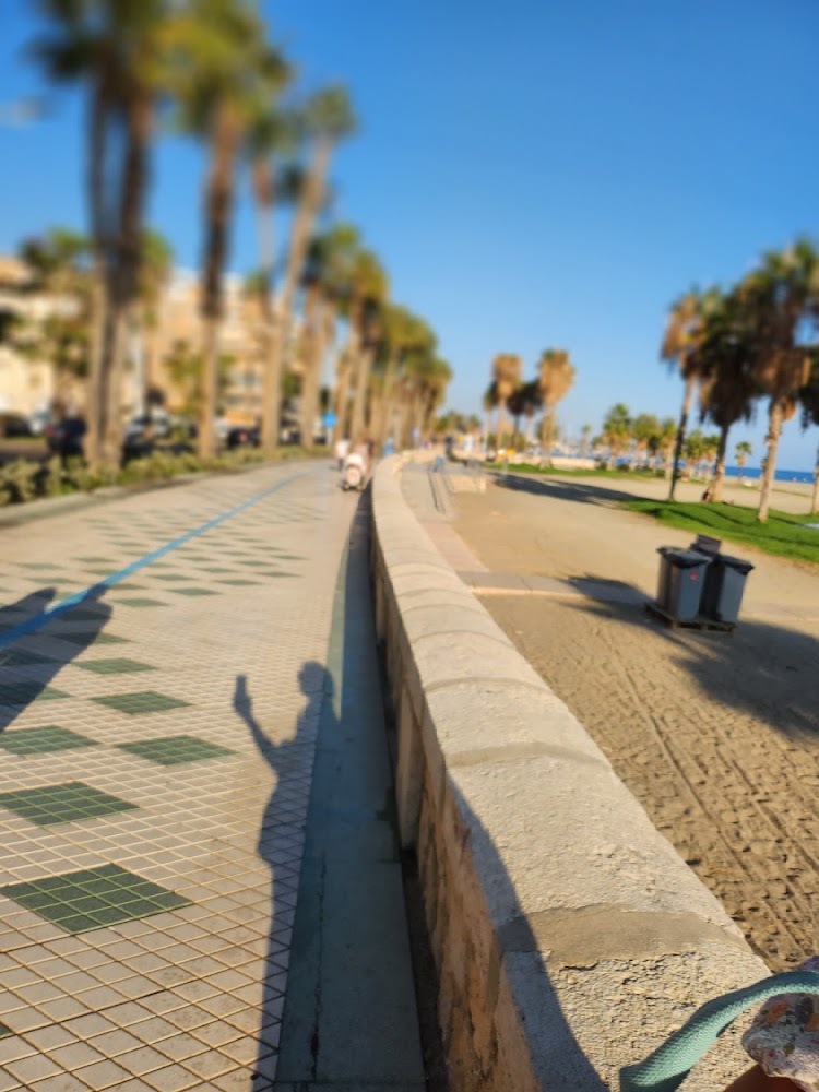 Playa de la Malagueta