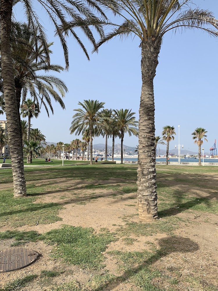 Playa de la Misericordia