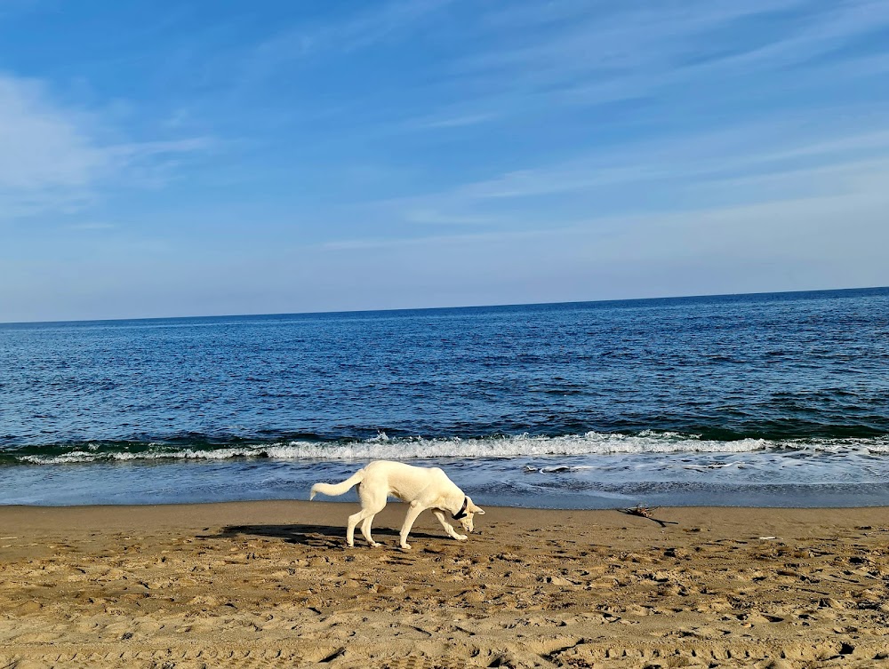 Playa La Cala