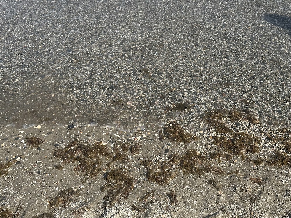 Playa La Cala