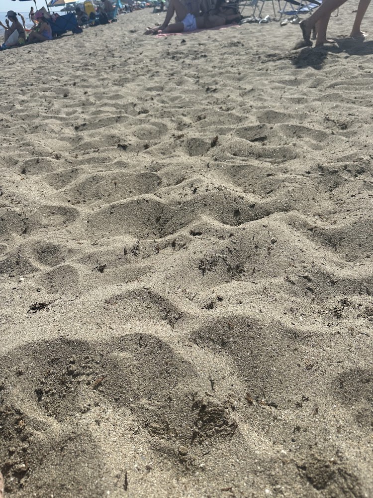 Playa La Cala