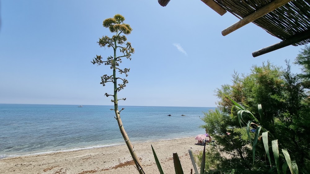 Playa Nudista de Playa Marina