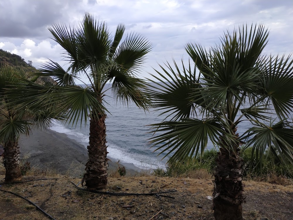 Playa de Maro