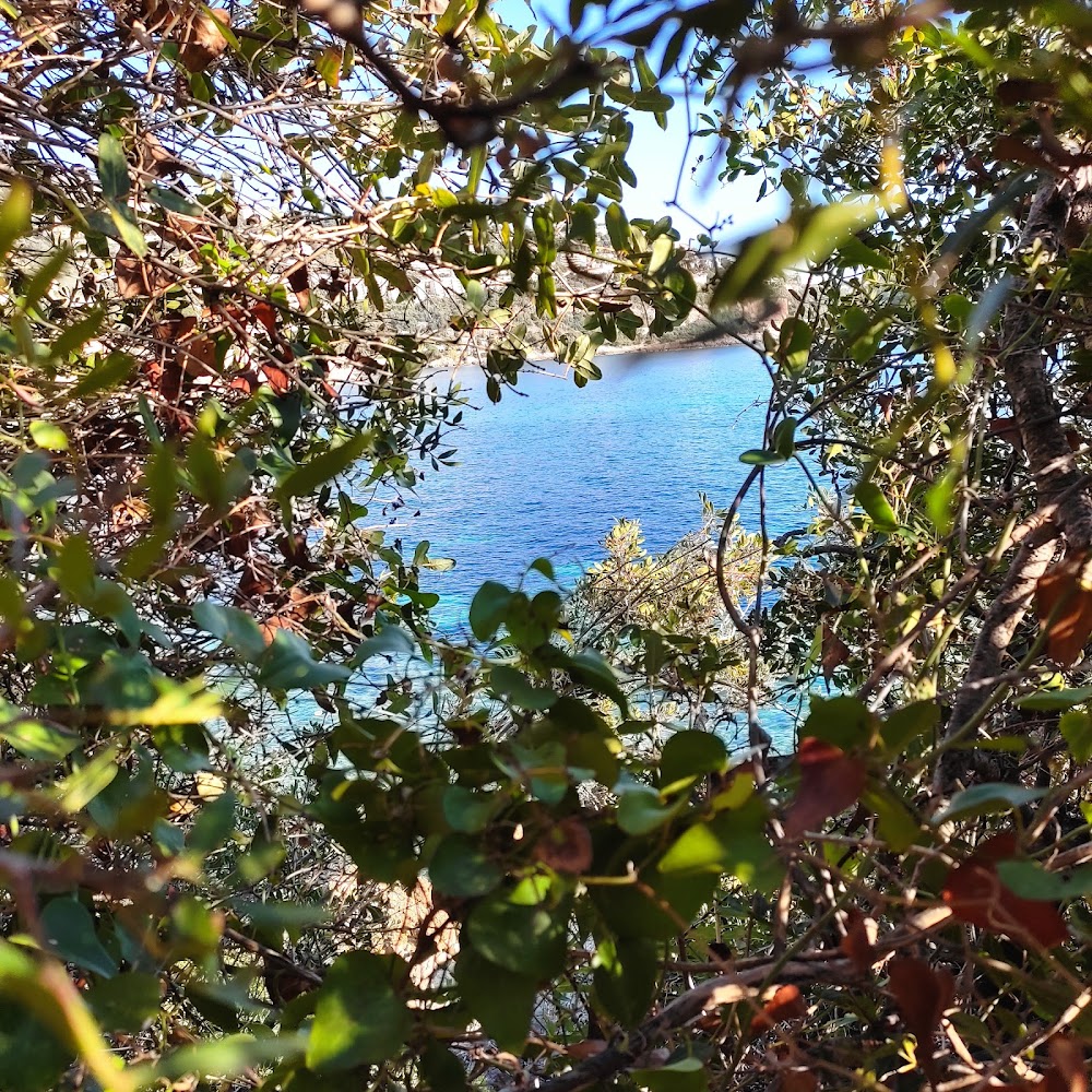 Plage du rocher