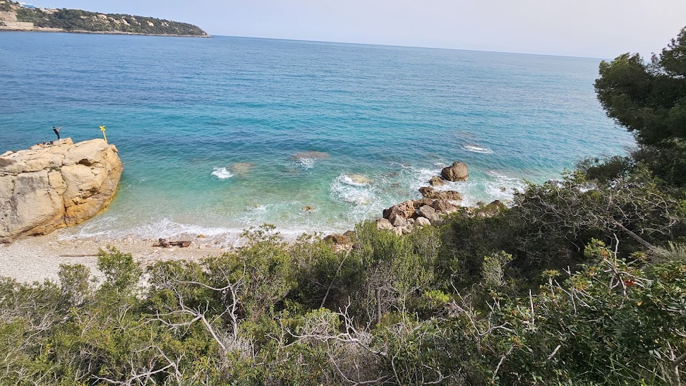 Plage du rocher