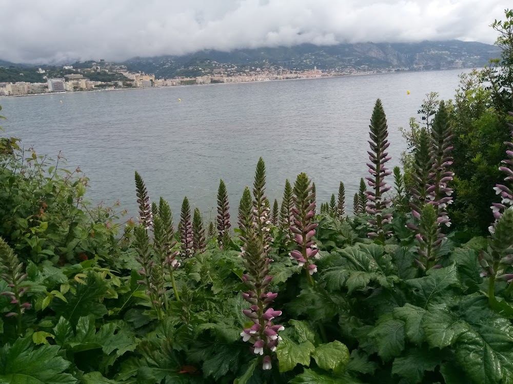 Plage des Pirates
