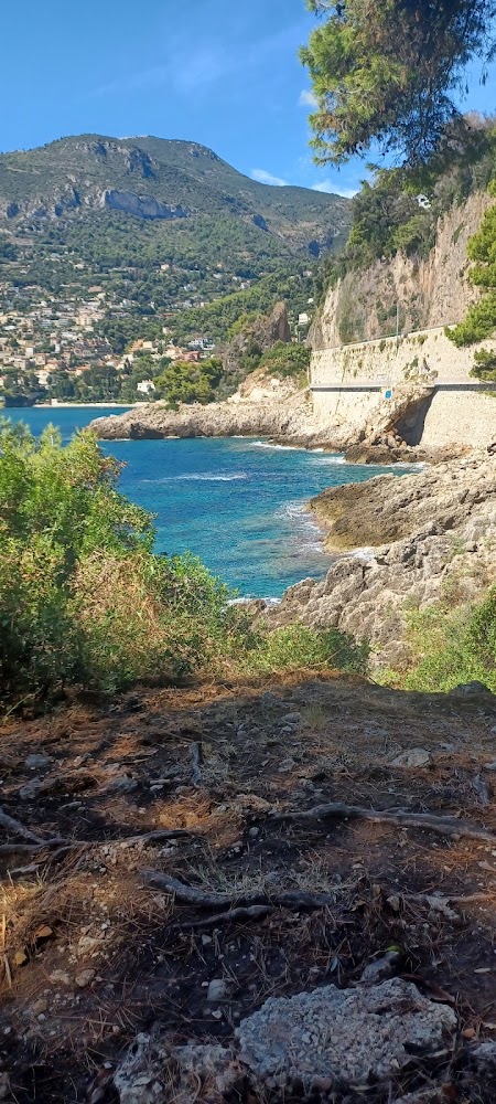 Plage du Cap Martin