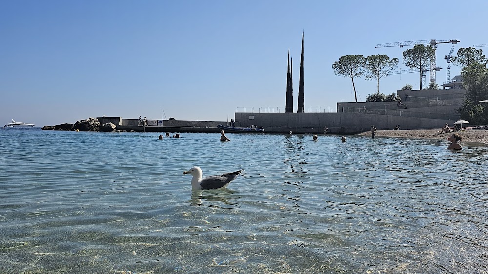 Plage du Larvotto