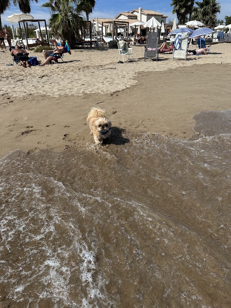 Plage de Saint-Aygulf