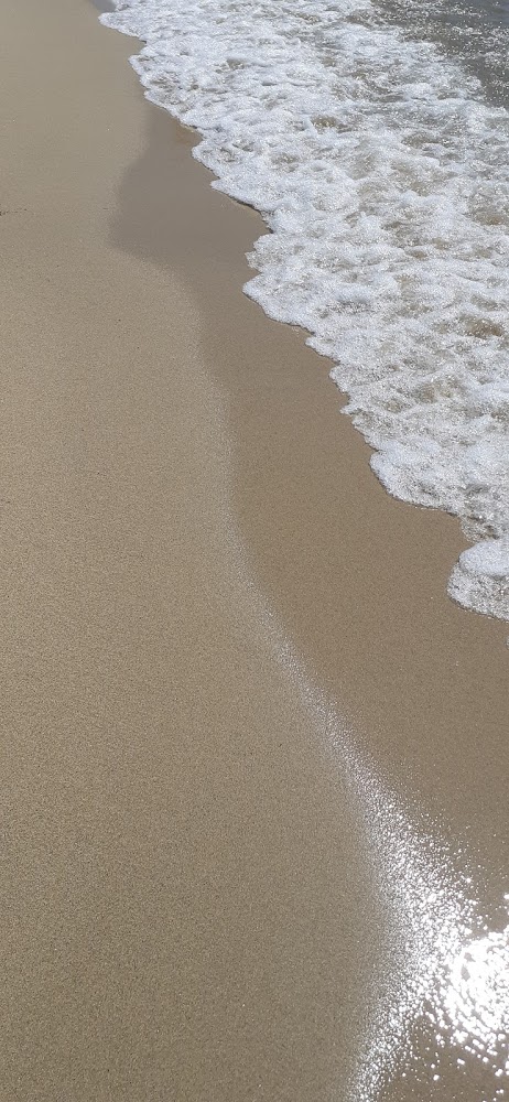 Plage du Centre-Ville