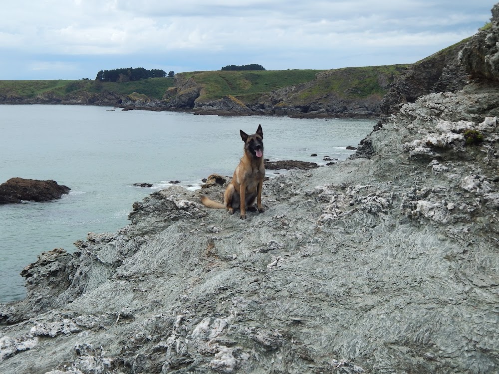 Plage d'Herlin