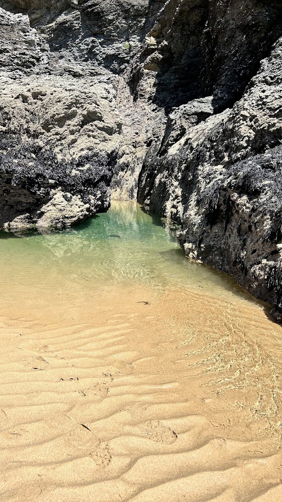 Plage d'Herlin