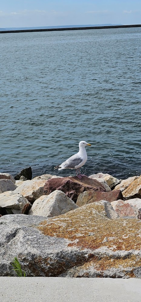 Plage du Havre