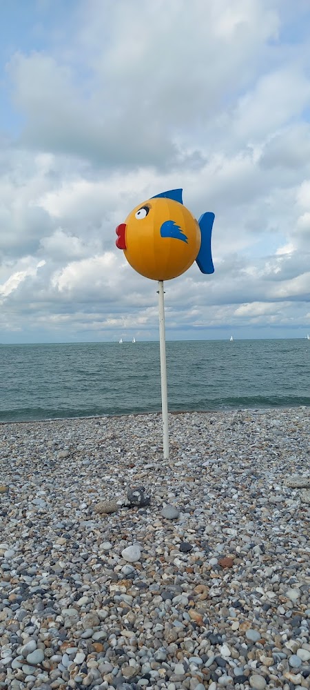 Plage du Havre