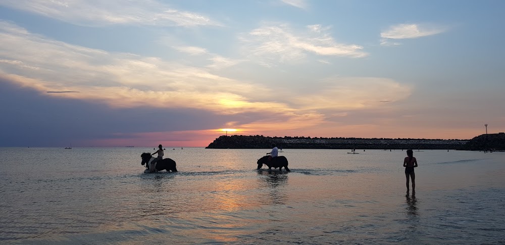 Plage de Saint-Jouin