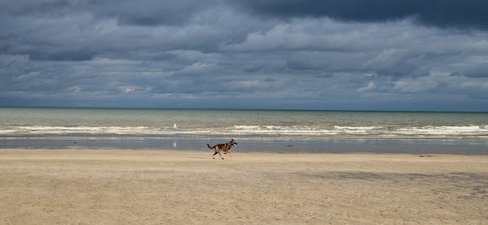 Saint-Aubin-sur-Mer