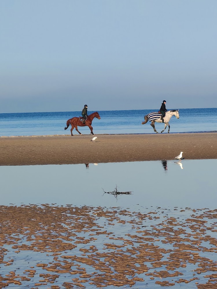 Planches de Deauville