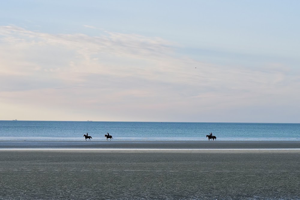 Planches de Deauville