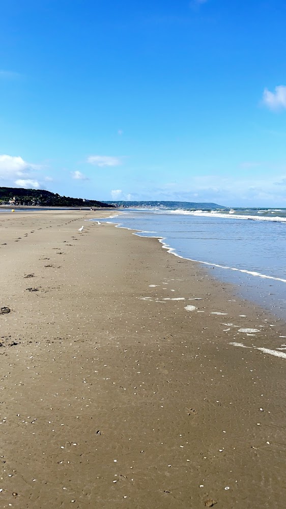 Planches de Deauville