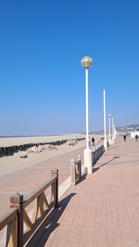 Planches de Deauville
