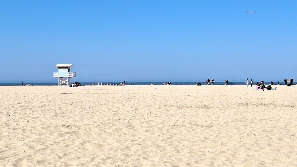 Planches de Deauville