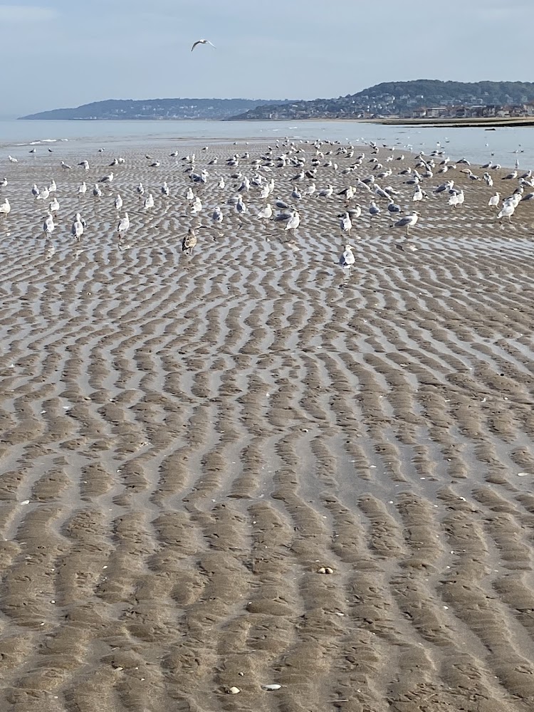 Villers-sur-Mer