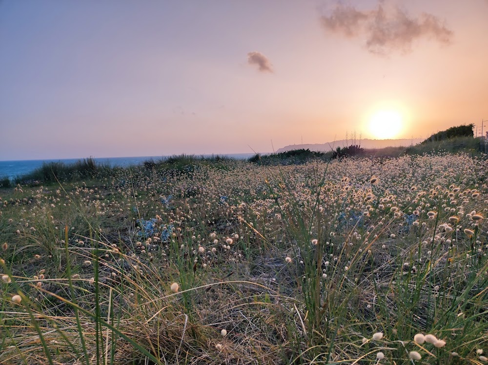 Carteret