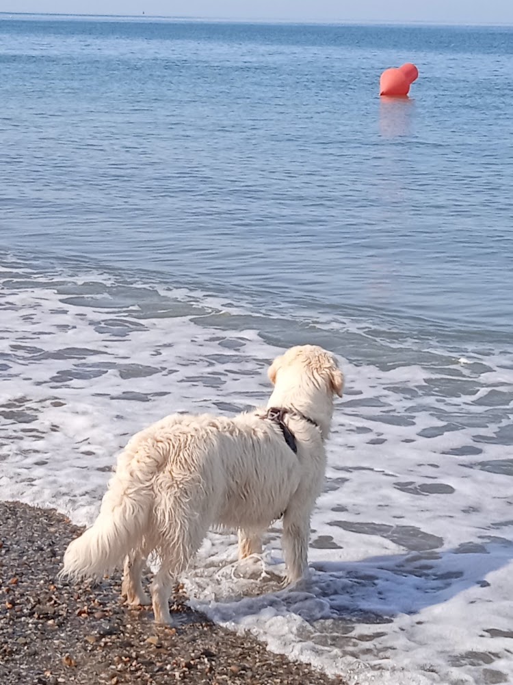 Plage du Centre
