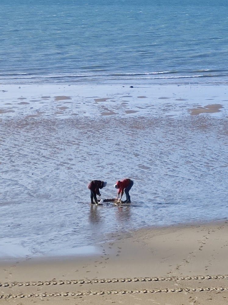plage de Bréville-sur-Mer