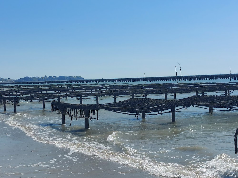 plage de Bréville-sur-Mer