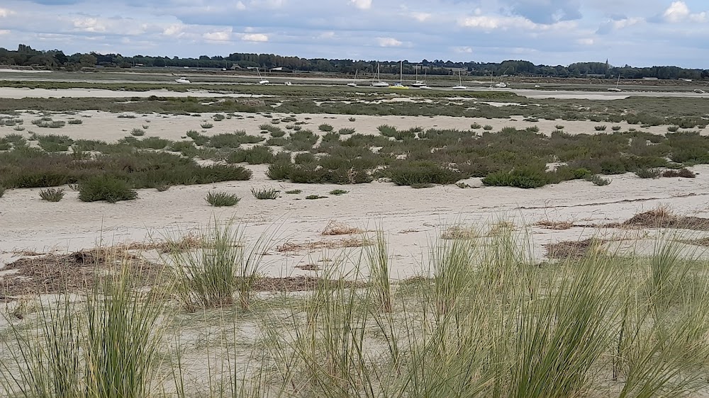 plage de Bréville-sur-Mer