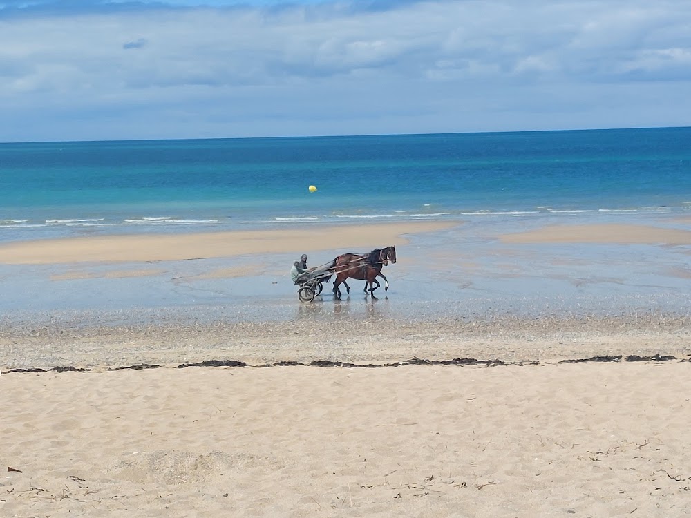 Plage de Donville