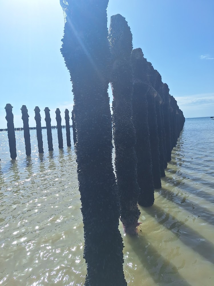 Plage de Donville