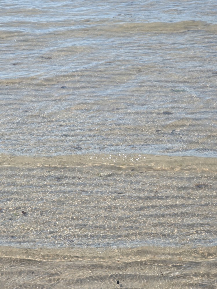 Plage de Donville