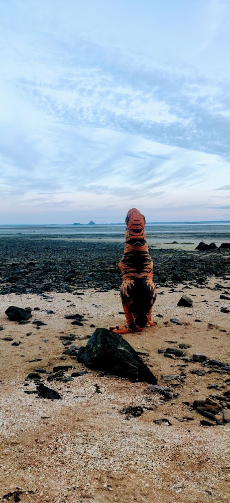 Face au Mont-Saint-Michel