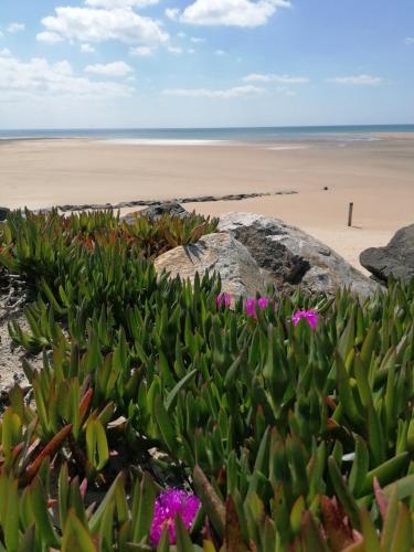Plage du Vieux Fort