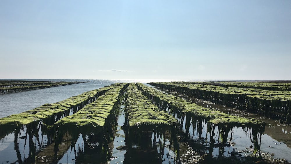 Havre de Saint-Germain