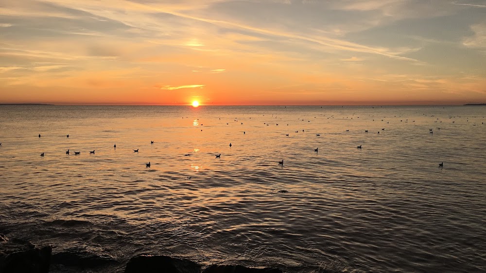 Havre de Saint-Germain