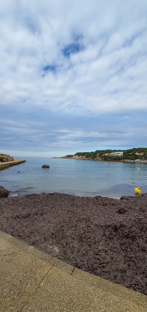 Plage de Portissol