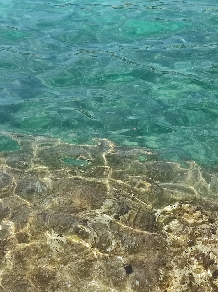 Plage de Portissol